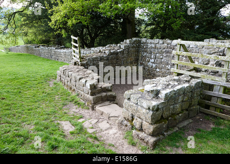 La sezione di parete di Adriano e brunton torretta a bassa brunton northumberland uk costruito da xx legione Foto Stock