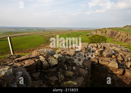 Guardando verso il basso da una torretta sezione di parete di Adriano a balze walltown northumberland regno unito Foto Stock