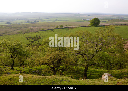 Guardando verso il basso a partire da una sezione di parete di Adriano su Northumberland National Park Regno Unito Foto Stock