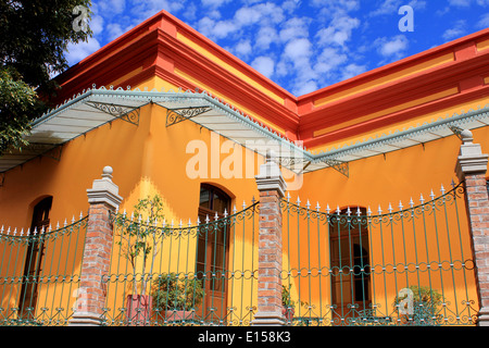 Edificio giallo (libreria messicano di giri) in San Angelo, Città del Messico Foto Stock