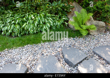 Percorso di ghiaia da giardino e pietre passo, bordo giardino bordatura piante all'ombra, hosta felce, percorso in pietra giardino, ghiaia nel giardino bordatura prato Foto Stock