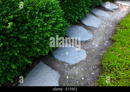 Percorso del giardino, pietra in grassy prato verde Foto Stock