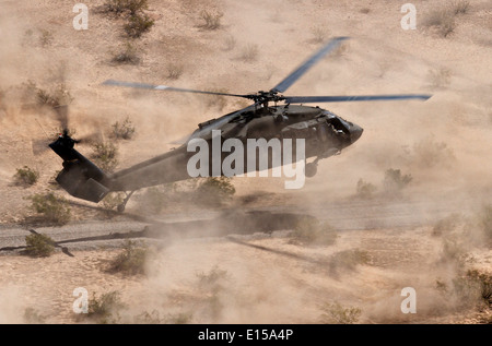 Un esercito americano UH-60 Black Hawk elicottero atterra in un turbinio di polvere durante Angelo Thunder multilaterale di lotta contro la ricerca e il salvataggio esercizio Maggio 16, 2014 a Firenze, Arizona. Foto Stock