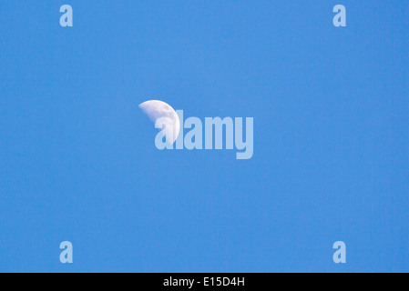 Mezza Luna in un chiaro blu cielo diurno. Foto Stock