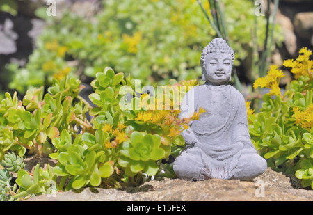 Statua di Budda tra le piante succulente Foto Stock