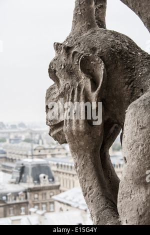 Gargoyle vista dalla cattedrale di Notre Dame a Parigi. Foto Stock