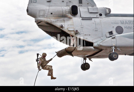 Un esercito britannico Commando con 148th batteria, 29 Commando Fire Support Team di Royal Artillery, rappels da un CH-46 Sea Knight durante l'esercizio Chase birmano Settembre 6, 2013 a Camp Pendleton, California. Foto Stock