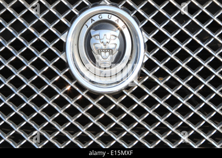 La Jaguar badge sulla griglia della calandra Foto Stock