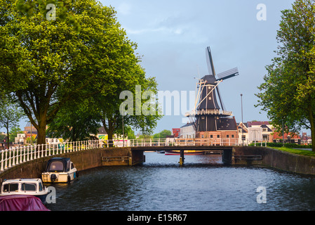 Il mulino a vento di Haarlem, hollandish città. Molen de Adrian museum Foto Stock