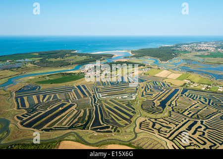 Talmont Saint-Hilaire (dipartimento della Vandea): le paludi Foto Stock