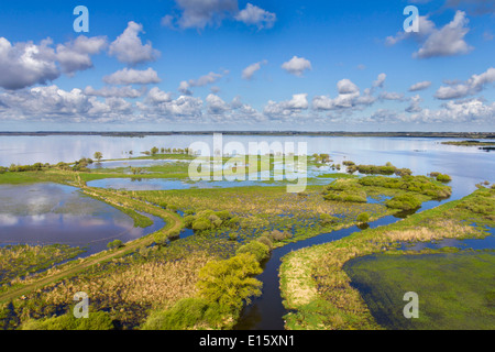 Lac de Grand-Lieu lago Foto Stock