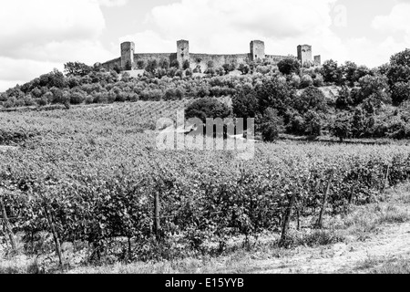 Monteriggioni, Regione Toscana, Italia. Vigneto di fronte le antiche mura medievali Foto Stock