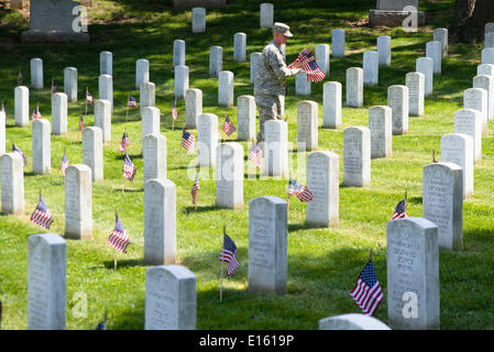 Un esercito americano soldato da la vecchia guardia bandiere posti nella parte anteriore della tomba di siti in onore del Memorial Day al Cimitero Nazionale di Arlington, Maggio 22, 2014 in Arlington, Virginia. Foto Stock