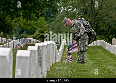 Un esercito americano soldato da la vecchia guardia bandiere posti nella parte anteriore della tomba di siti in onore del Memorial Day al Cimitero Nazionale di Arlington, Maggio 22, 2014 in Arlington, Virginia. Foto Stock