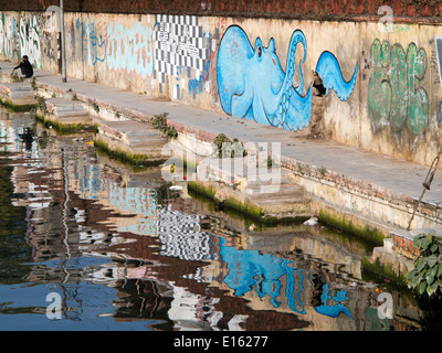 India Rajasthan, Udaipur, acquatico octopus grafitti sul lago Pichola shore Foto Stock