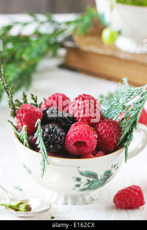 Vintage tazza di lamponi e more servita con thuja rami e vecchio libro sul tavolo. Foto Stock