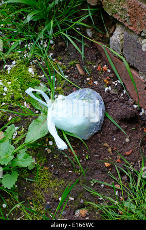 Scartato il sacchetto in plastica di Dog Poo, REGNO UNITO Foto Stock