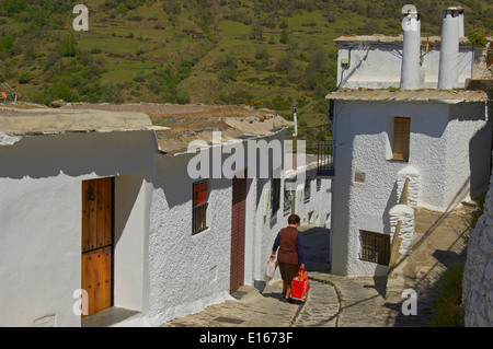 Las Alpujarras, Capileira, Sierra Nevada, Montagne Alpujarras area, provincia di Granada, Andalusia, Spagna Foto Stock