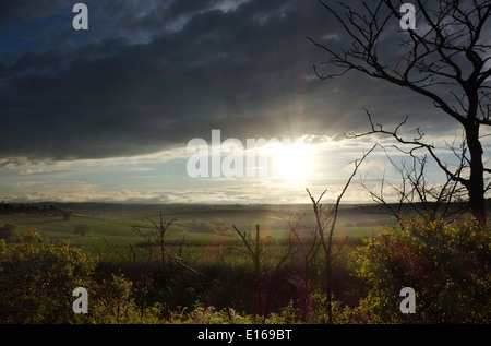 Rutland Leicestershire campagna campi Foto Stock