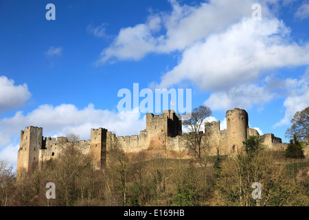 Molla, Ludlow Castle, Ludlow town, Shropshire County, England, Regno Unito Foto Stock