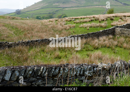 Asciugare la parete in pietra i confini del campo di borrowdale valley Cumbria Regno Unito Foto Stock