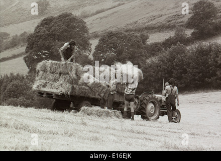 Gente hippie che produce balle di fieno fienagione in un campo con trattore e rimorchio in un comune rurale anni '70 'ritorno alla terra' piccola tenuta nel 1970 nel Carmarthenshire Galles 1977 KATHY DEWITT Foto Stock