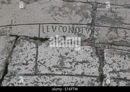 Dettaglio del vento compass inciso accanto al Campidoglio a Dougga, una delle meglio conservate città dell Africa romana Foto Stock