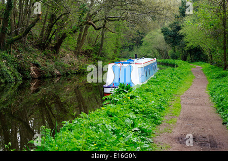 Narrowboat blu ormeggiato sul Staffordshire e Worcestershire Canal, Prestwood, Staffordshire, England, Regno Unito Foto Stock