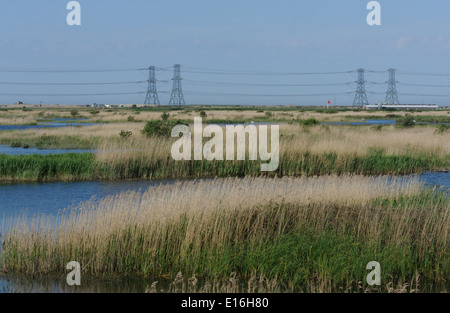 Tralicci di energia elettrica attraversano Dungeness e Denge Marsh potenza di trasporto da Dungeness centrale nucleare. Dungeness, Kent, Regno Unito Foto Stock