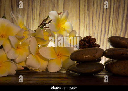 Candele aromatiche con pietra e fiore Foto Stock