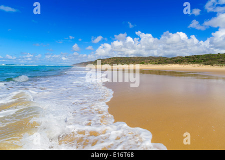 Spiaggia orientale, l'Isola di Fraser,Queensland, QLD, Australia Foto Stock