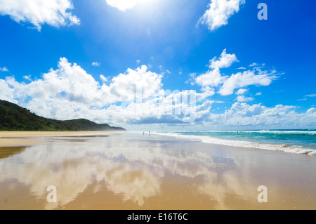 Spiaggia orientale, l'Isola di Fraser, Queensland, QLD, Australia Foto Stock