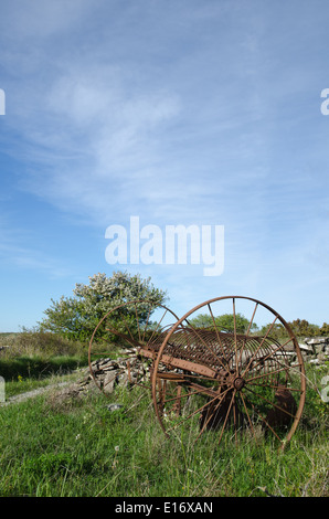 Abbandonato il vecchio cavallo rastrello in un paesaggio rurale di primavera. Dall'isola svedese Oland. Foto Stock