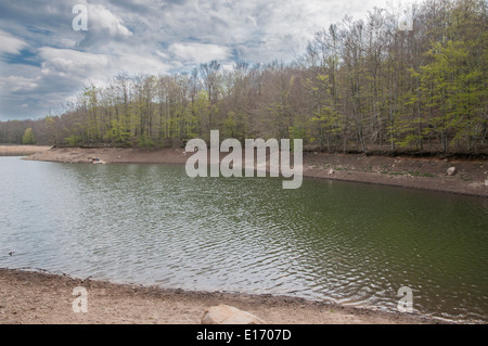 Acqua di palude di Santa Fe del Montseny Foto Stock