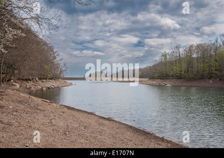 Acqua di palude di Santa Fe del Montseny Foto Stock