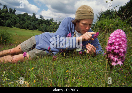 Impianto Hunter Tom Hart Dyke a Lullingstone Castle vicino a Sevenoaks Kent,ha costruito il mondo Mappa del giardino da piante. Foto Stock