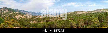 Foret de l'Ospedale panorama del paesaggio Foto Stock