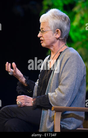 Jacqueline Wilson per bambini di lingua autore a Hay Festival 2014 ©Jeff Morgan Foto Stock