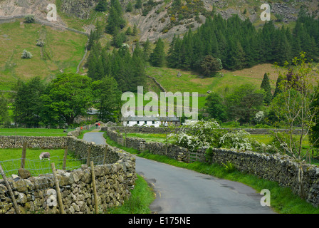 Medio è sceso Farm, grande Langdale, Parco Nazionale del Distretto dei Laghi, Cumbria, England Regno Unito Foto Stock