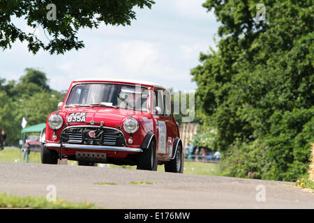 Londra, UK, 25 maggio, 2014. A concorrenti del 2014 Motor Sport presso il palazzo al Crystal Palace Park South London 25.05.2014 Credito: theodore liasi/Alamy Live News Foto Stock