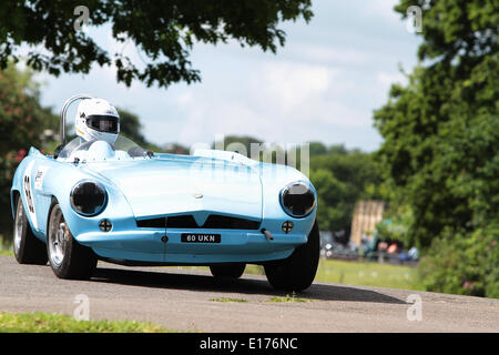 A concorrenti del 2014 Motor Sport presso il palazzo al Crystal Palace Park South London 25.05.2014 Foto Stock