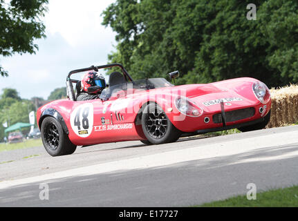 A concorrenti del 2014 Motor Sport presso il palazzo al Crystal Palace Park South London 25.05.2014 Foto Stock