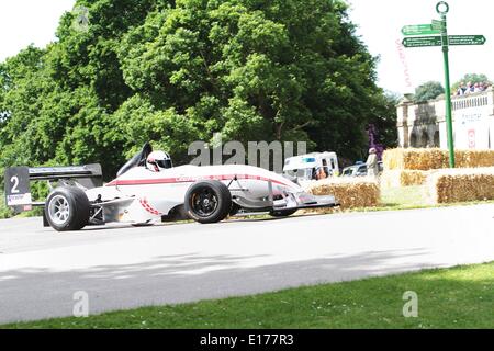 A concorrenti del 2014 Motor Sport presso il palazzo al Crystal Palace Park South London 25.05.2014 Foto Stock