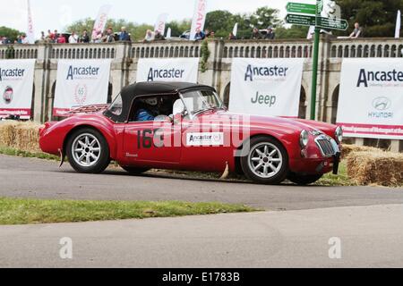 A concorrenti del 2014 Motor Sport presso il palazzo al Crystal Palace Park South London 25.05.2014 Foto Stock