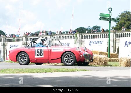 A concorrenti del 2014 Motor Sport presso il palazzo al Crystal Palace Park South London 25.05.2014 Foto Stock