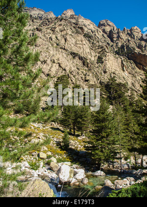 Valle de la Restonica vista con flusso di acqua Foto Stock