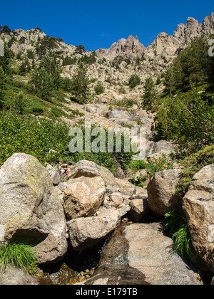 Valle de la Restonica vista con flusso di acqua Foto Stock