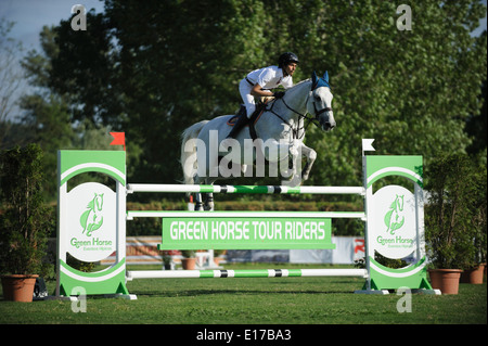 Cavaliere a cavallo saltando ostacoli durante una competizione equestre Foto Stock