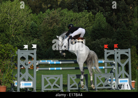 Cavaliere a cavallo saltando ostacoli durante una competizione equestre Foto Stock