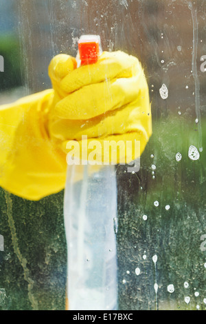 Mano nel guanto di gomma pulisce finestra da spruzzare del detergente per vetri bottiglia Foto Stock